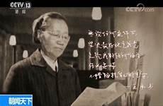何泽慧为什么不是两弹一星