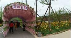 音乐百花谷2020