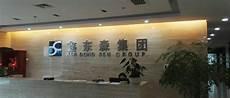 鑫东森集团背景
