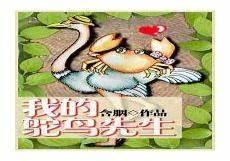 我的鸵鸟先生无删减全文