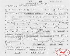野狼disco什么时候火