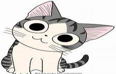 小猫卡通画图片