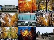 电子科技大学统一身份认证平台