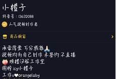 网红小橙子先生