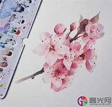 樱花树sai画法
