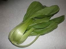 大白菜鸡毛菜喜羊羊主题曲