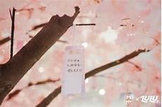上海九樱