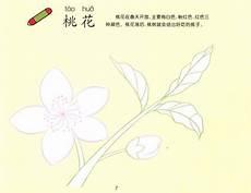 桃花怎么画的又简单又漂亮